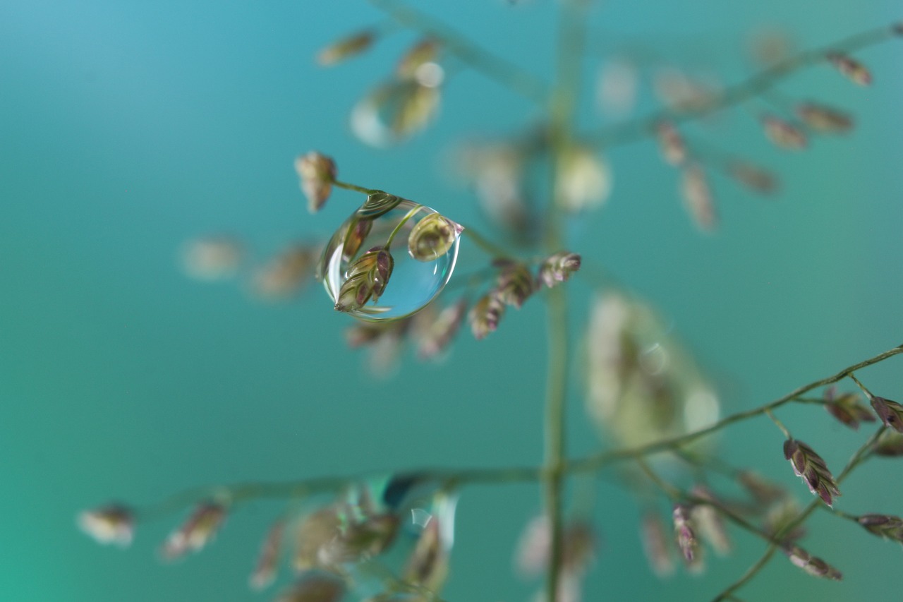 Imagination - Bridging Gap between Philosophy and Science